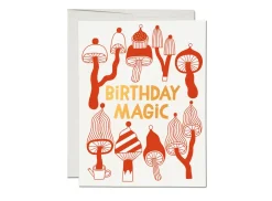 Mushroom Magic Birthday Card- Greeting Cards