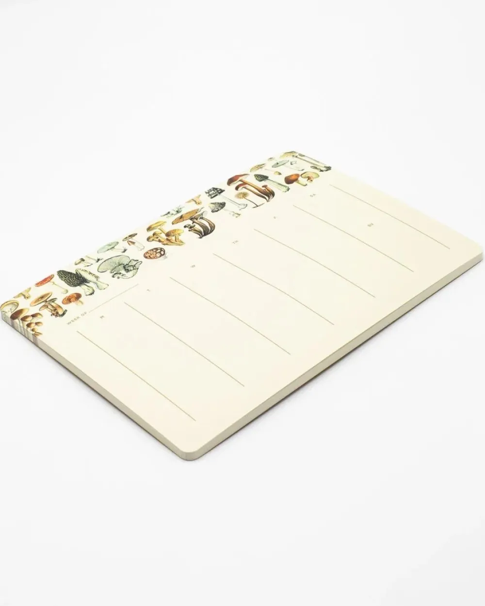 Mushrooms Calendar Notepad- Journals & Other Stationery