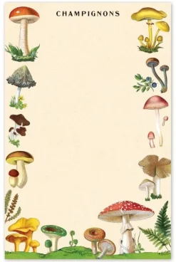 Mushrooms Notepad- Journals & Other Stationery