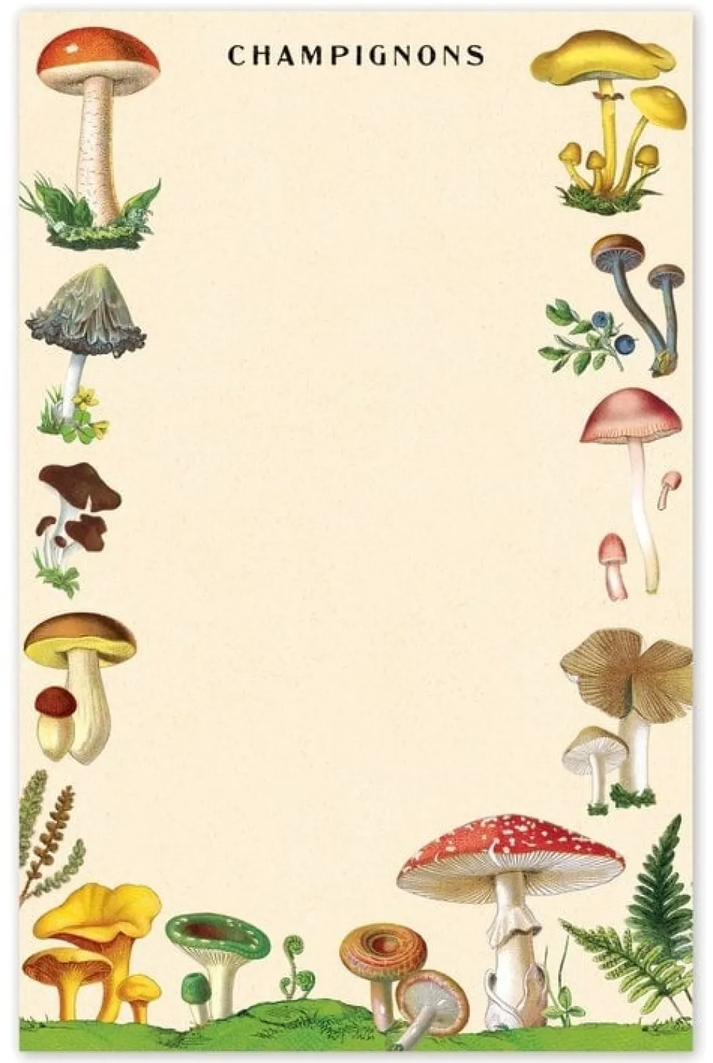 Mushrooms Notepad- Journals & Other Stationery