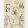 Nursing Softcover Notebook (Lined)- Journals & Other Stationery