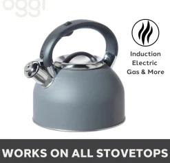 Oggi Stainless Steel Whistling Tea Kettle (Charcoal Grey)- Tea Kettles