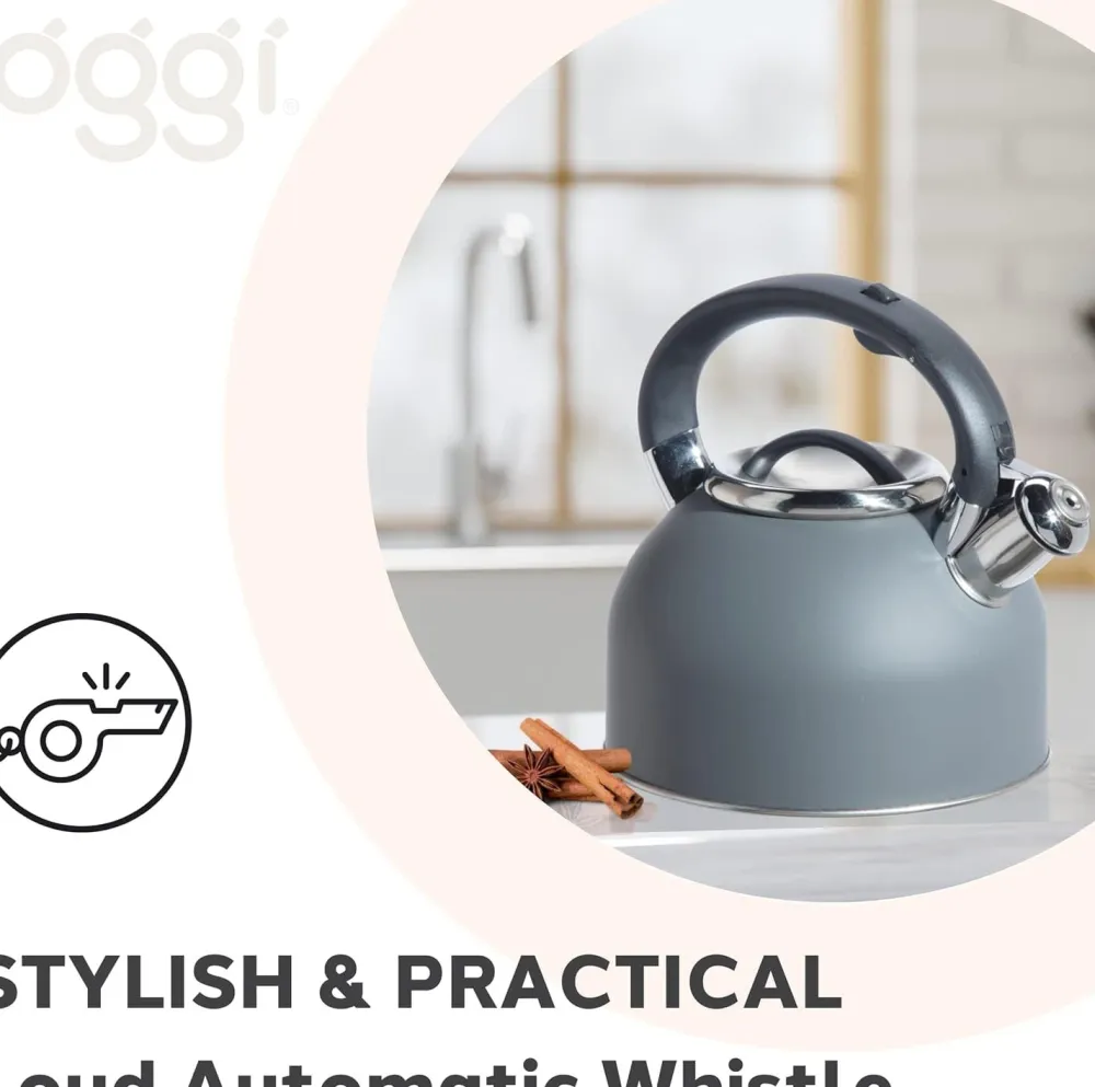 Oggi Stainless Steel Whistling Tea Kettle (Charcoal Grey)- Tea Kettles
