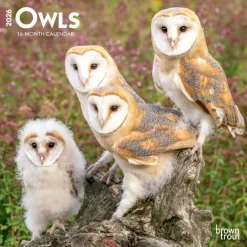 Owls 2026 Mini Wall Calendar- Calendars