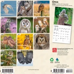 Owls 2026 Mini Wall Calendar- Calendars