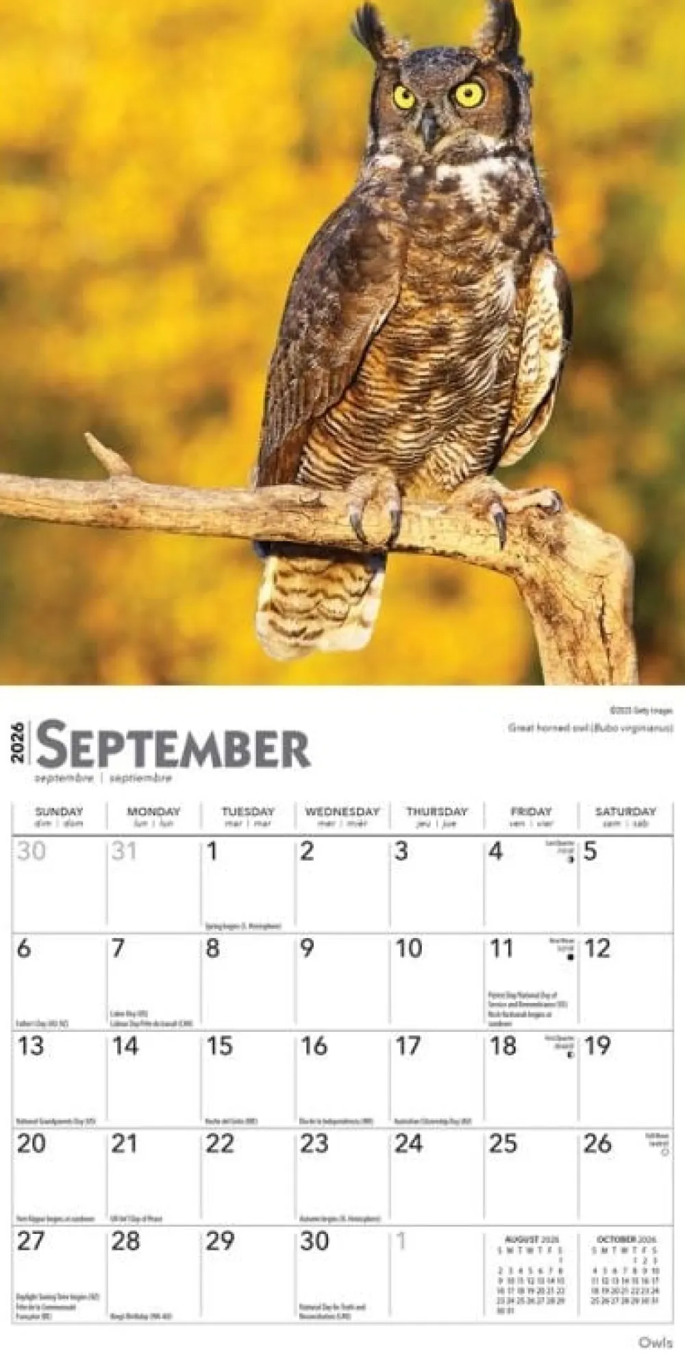 Owls 2026 Mini Wall Calendar- Calendars