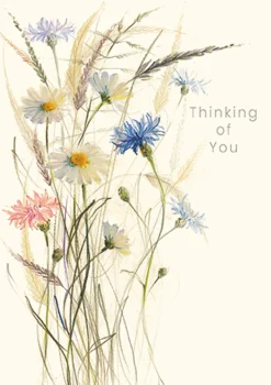 Oxeye Daisies Thinking of You Card- Greeting Cards