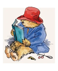 Paddington Reads Greeting Card- Greeting Cards