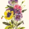 Pansies Get Well Soon Card- Greeting Cards