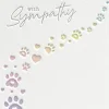 Paws Pet Sympathy Card- Greeting Cards