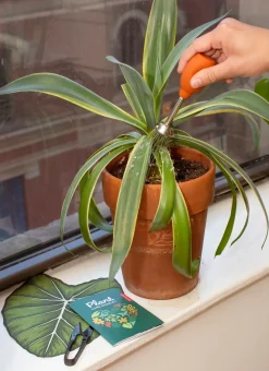 Plant Care Kit- Coloring Books & Crafts|Kitchen Tools
