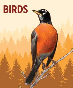 Pomegranate Birds Knowledge Cards- Games & Puzzles