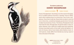Pomegranate Birds Knowledge Cards- Games & Puzzles