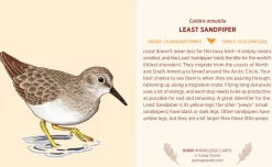Pomegranate Birds Knowledge Cards- Games & Puzzles