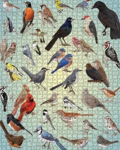 Pomegranate Casey Girard: Backyard Birds 1000-Piece Puzzle- Games & Puzzles