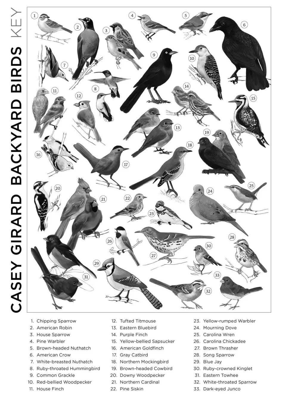 Pomegranate Casey Girard: Backyard Birds 1000-Piece Puzzle- Games & Puzzles
