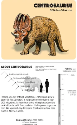 Pomegranate Dinosaurs Knowledge Cards- Games & Puzzles