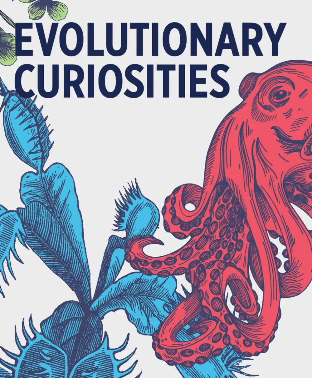 Pomegranate Evolutionary Curiosities Knowledge Cards- Games & Puzzles