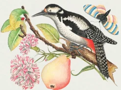 Pomegranate Flowers, Birds, & Butterflies Celebrations Boxed Notecards- Boxed Cards