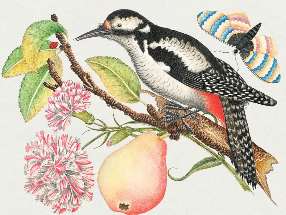 Pomegranate Flowers, Birds, & Butterflies Celebrations Boxed Notecards- Boxed Cards