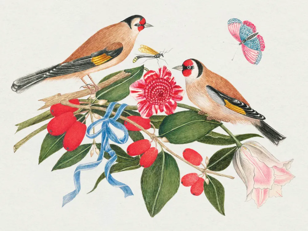 Pomegranate Flowers, Birds, & Butterflies Celebrations Boxed Notecards- Boxed Cards