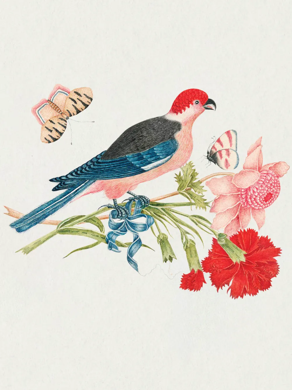 Pomegranate Flowers, Birds, & Butterflies Celebrations Boxed Notecards- Boxed Cards
