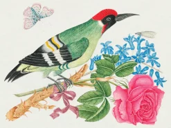 Pomegranate Flowers, Birds, & Butterflies Celebrations Boxed Notecards- Boxed Cards