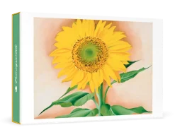 Pomegranate Georgia O'Keeffe: A Sunflower from Maggie Boxed Cards- Boxed Cards