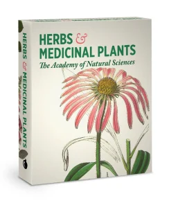 Pomegranate Herbs & Medicinal Plants Knowledge Cards- Games & Puzzles