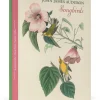 Pomegranate John James Audubon: Songbirds Boxed Notecard Assortment- Boxed Cards
