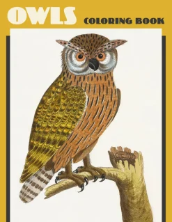 Pomegranate Owls Coloring Book- Coloring Books & Crafts|Books