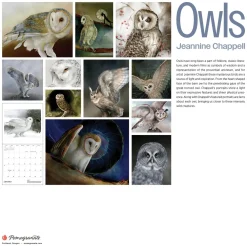 Pomegranate Owls: Jeannine Chappell 2026 Wall Calendar- Calendars