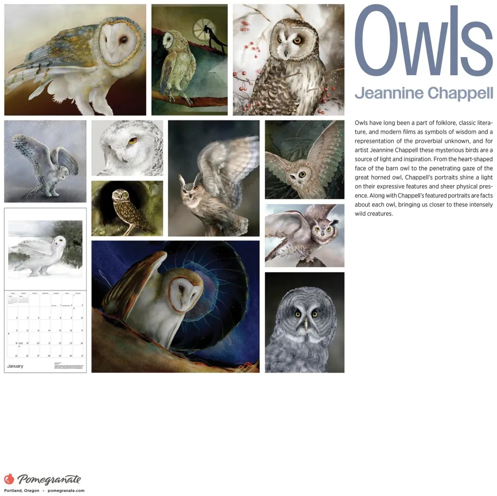 Pomegranate Owls: Jeannine Chappell 2026 Wall Calendar- Calendars