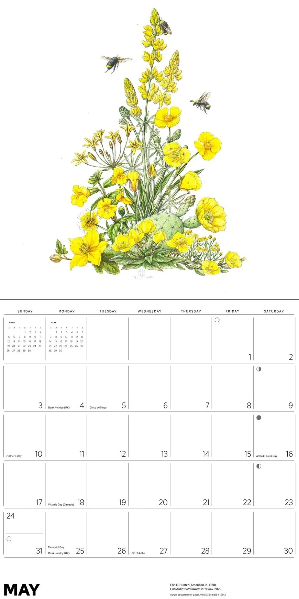 Pomegranate Pollinators 2026 Wall Calendar- Calendars