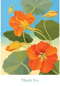 Pomegranate Siri Schillios Nasturtium Boxed Thank You Notes- Boxed Cards