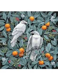 Pomegranate Vasilisa Romanenko: Birds of a Feather Boxed Notecard Assortment- Boxed Cards
