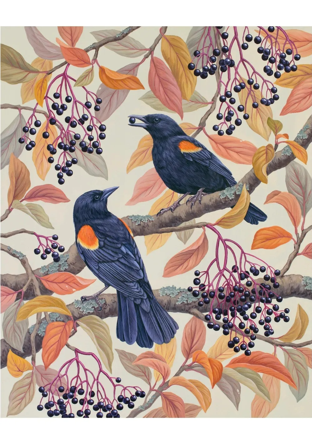 Pomegranate Vasilisa Romanenko: Birds of a Feather Boxed Notecard Assortment- Boxed Cards