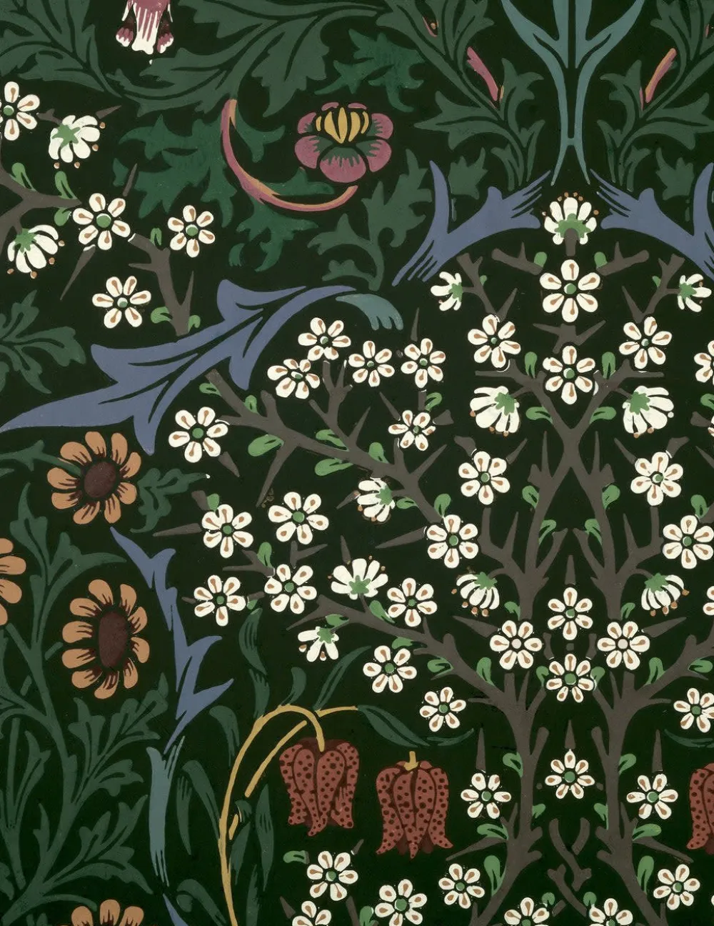 Pomegranate William Morris Keepsake Boxed Notecards- Boxed Cards