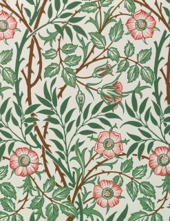 Pomegranate William Morris Keepsake Boxed Notecards- Boxed Cards
