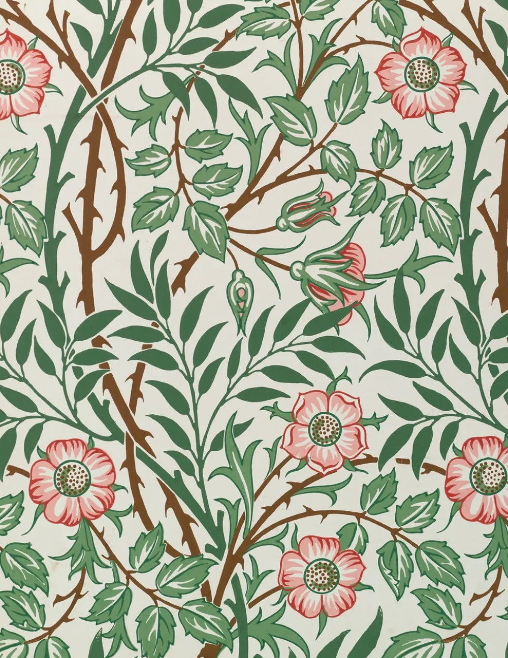 Pomegranate William Morris Keepsake Boxed Notecards- Boxed Cards