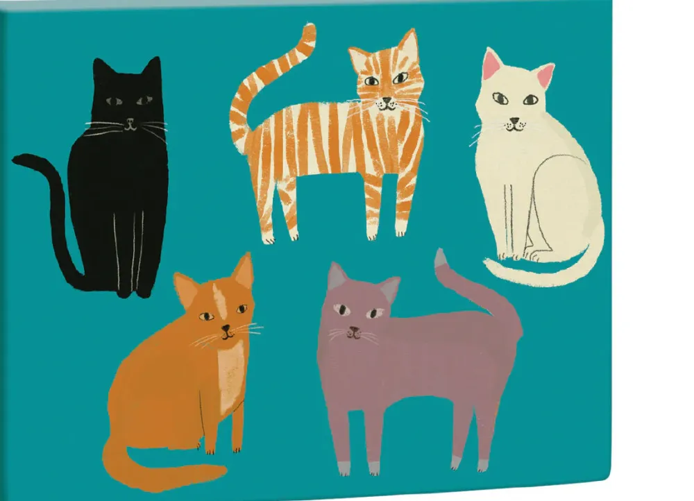 Pretty Paws Boxed Notecards- Boxed Cards