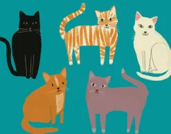 Pretty Paws Boxed Notecards- Boxed Cards