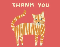 Pretty Paws Boxed Notecards- Boxed Cards