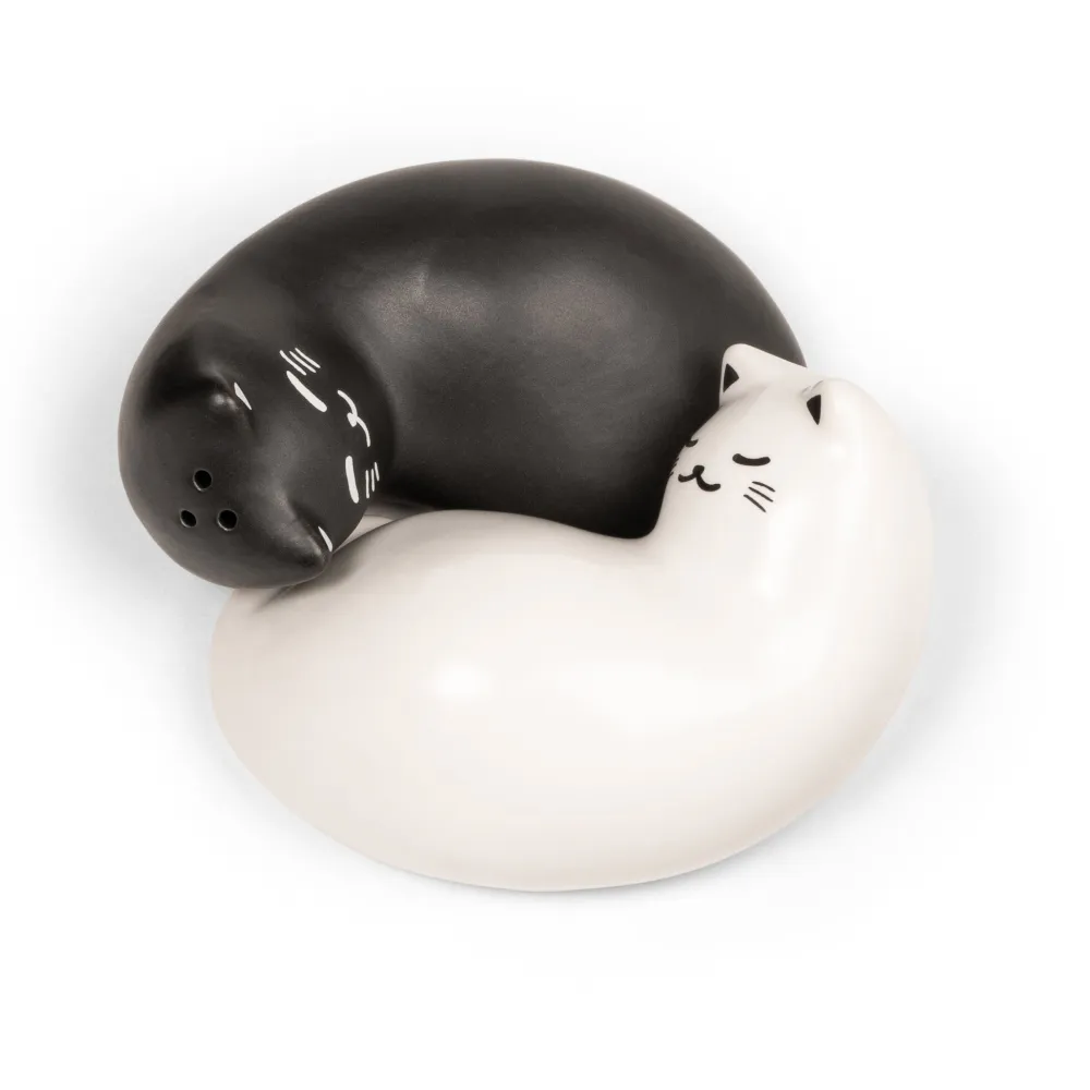 Purrfect Salt & Pepper Shakers- Kitchen Tools