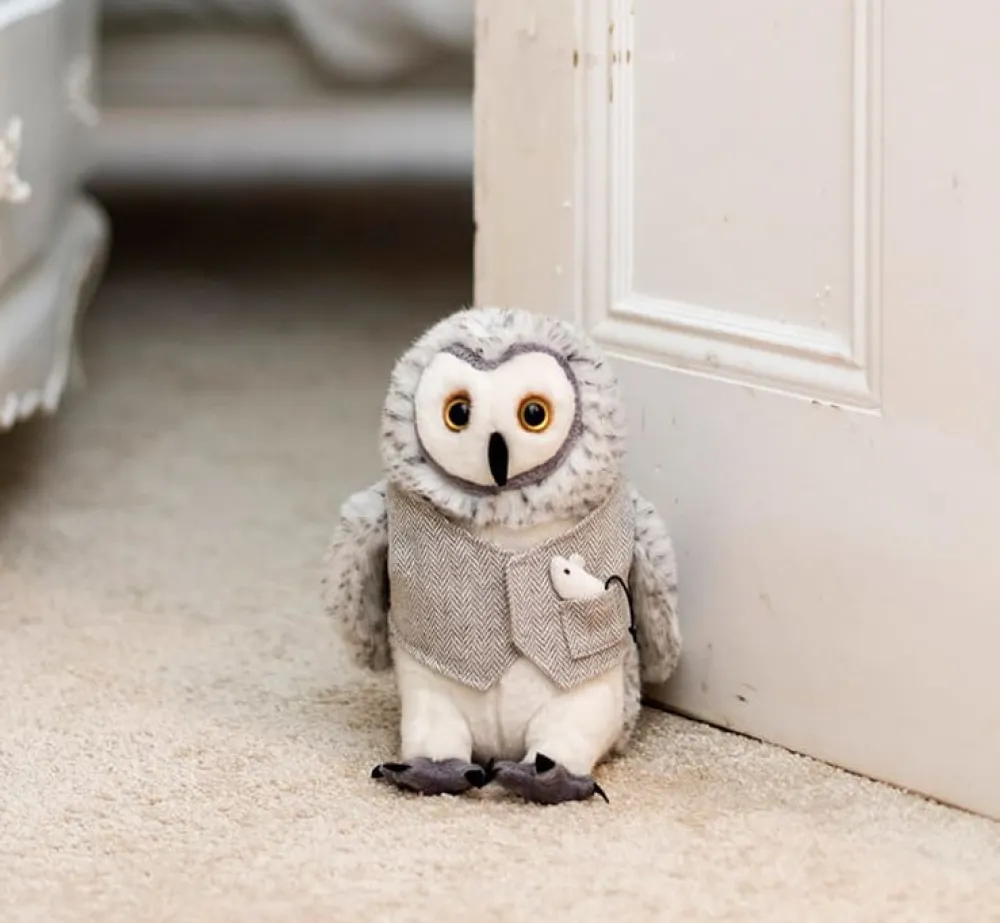 Queenie Queen the Owl Doorstop- Home Accents