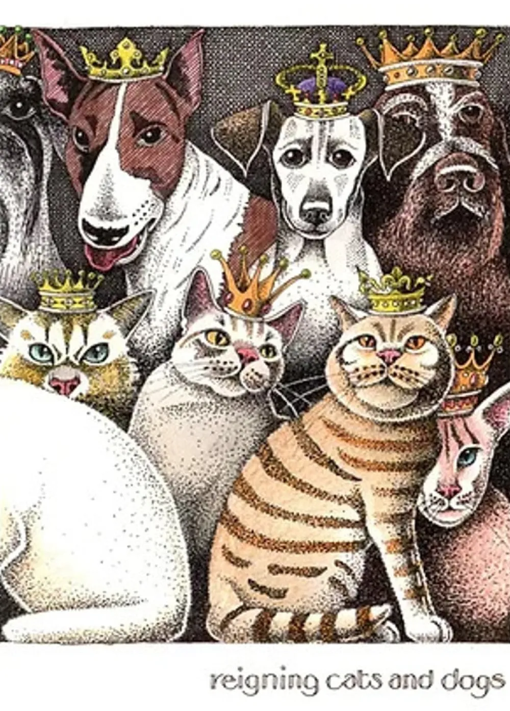 Reigning Cats & Dogs Greeting Card- Greeting Cards