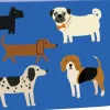 Shaggy Dogs Boxed Notecards- Boxed Cards