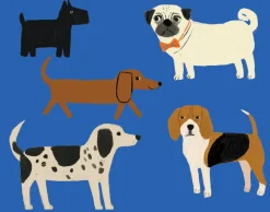 Shaggy Dogs Boxed Notecards- Boxed Cards