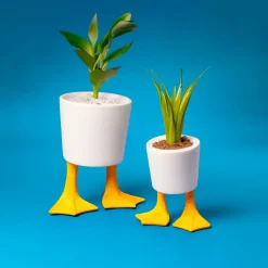 Small Duck Feet Planter- Vases