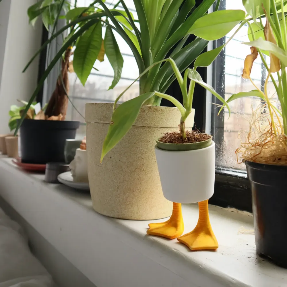 Small Duck Feet Planter- Vases